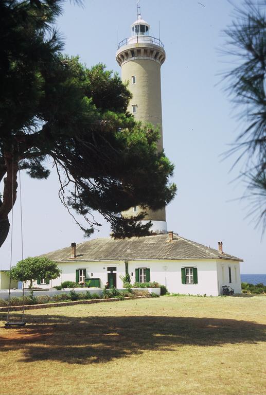 Maslina Appartement