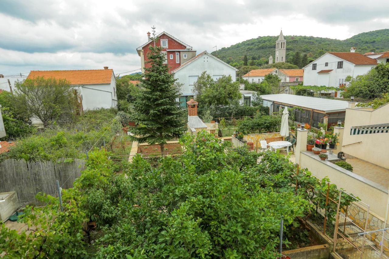 Maslina Apartment