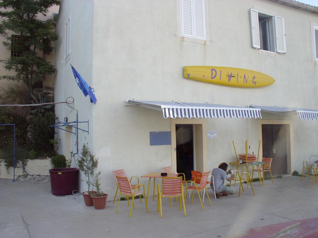 Apartment Maslina