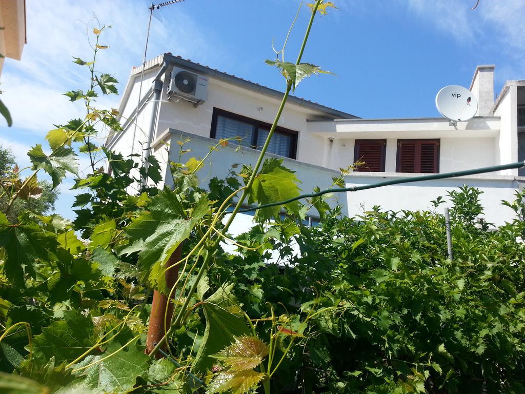 Apartment Maslina